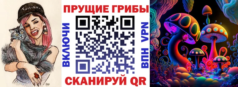 Псилоцибиновые грибы ЛСД  закладка  Володарск 